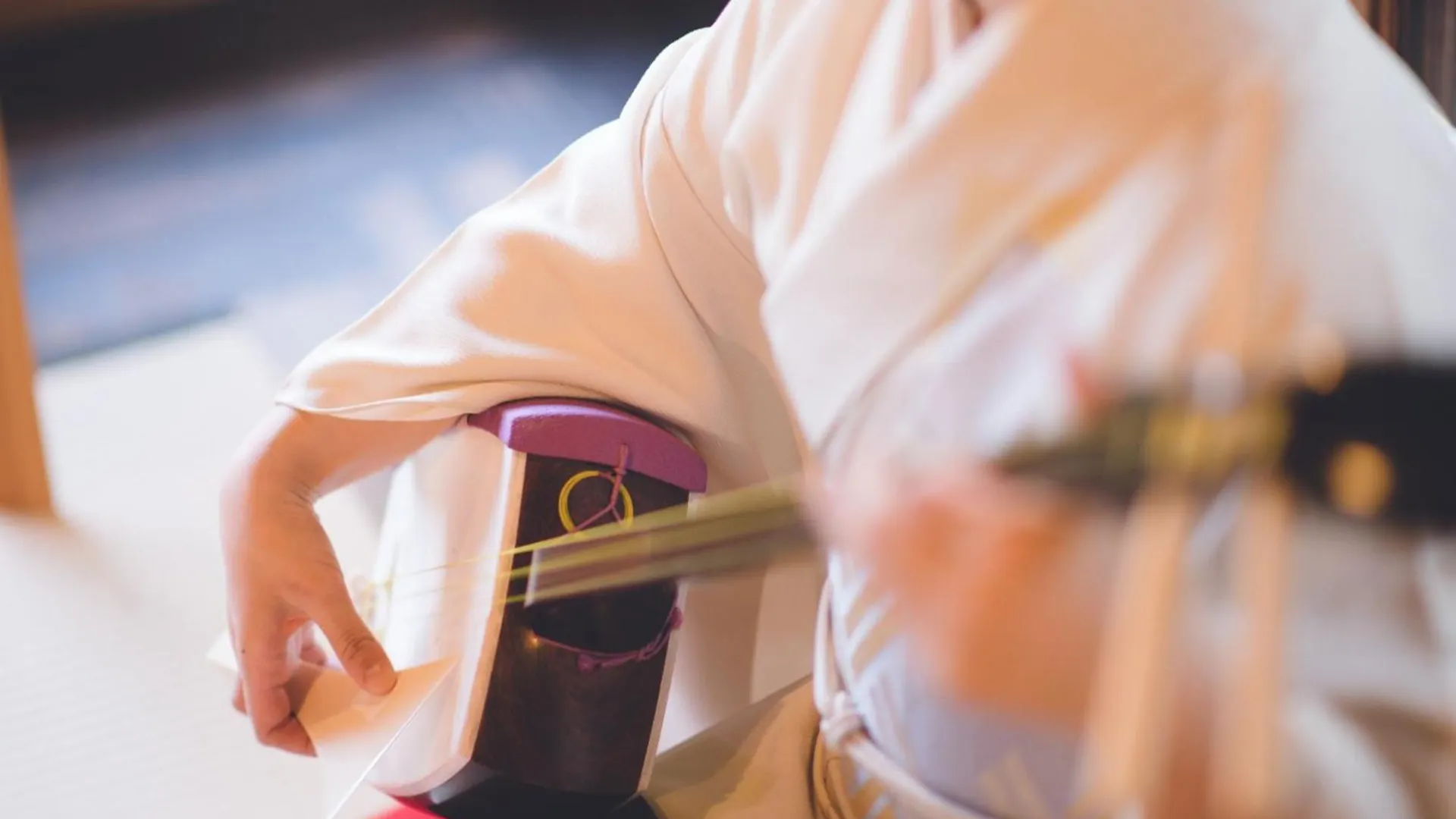 Ryokan Ginkaku 京都市